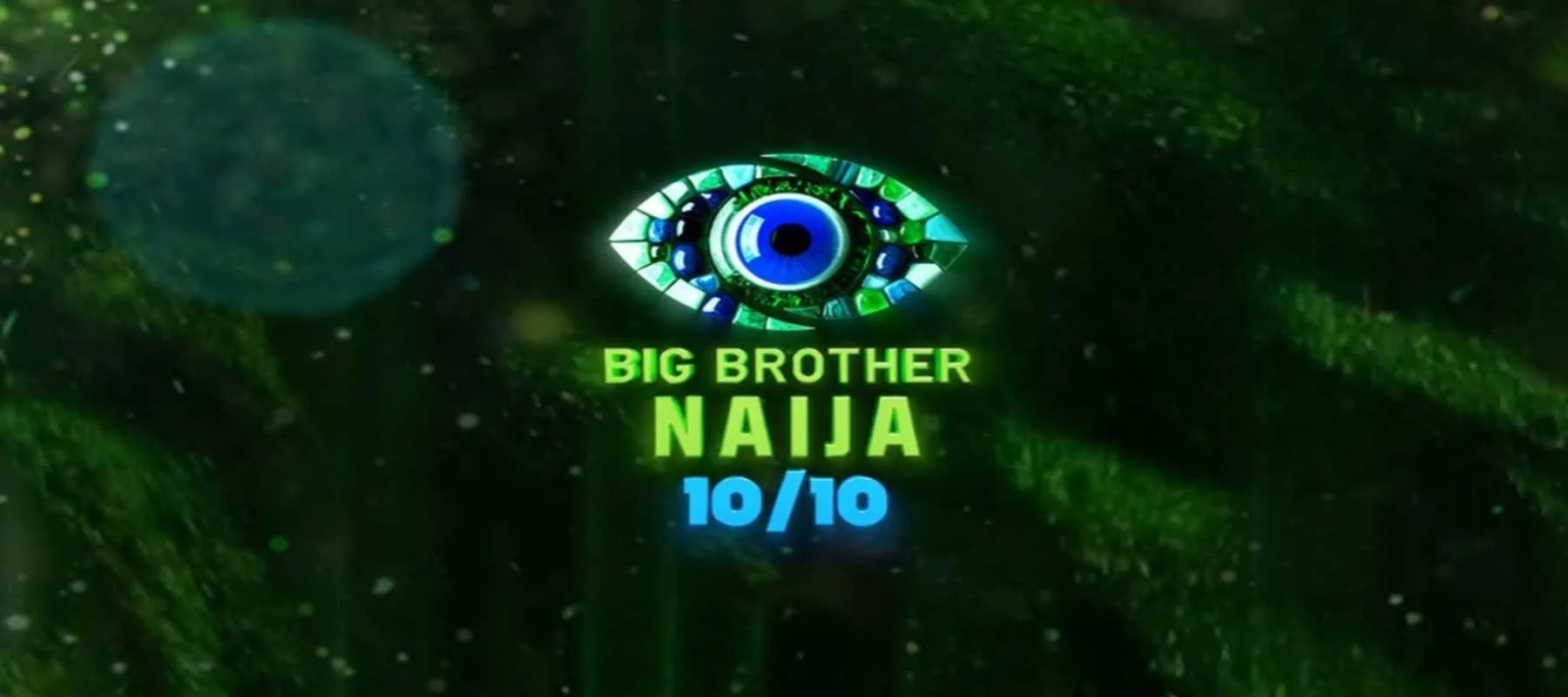 Meet All 29 Housemates of BBNaija 10/10 Season