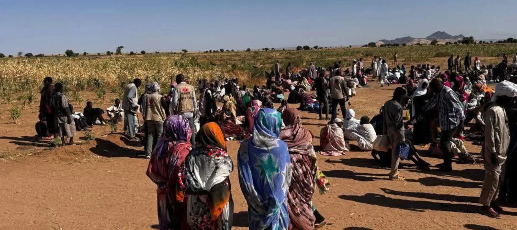 Civilian Massacre as RSF Seizes el-Fasher Army Base