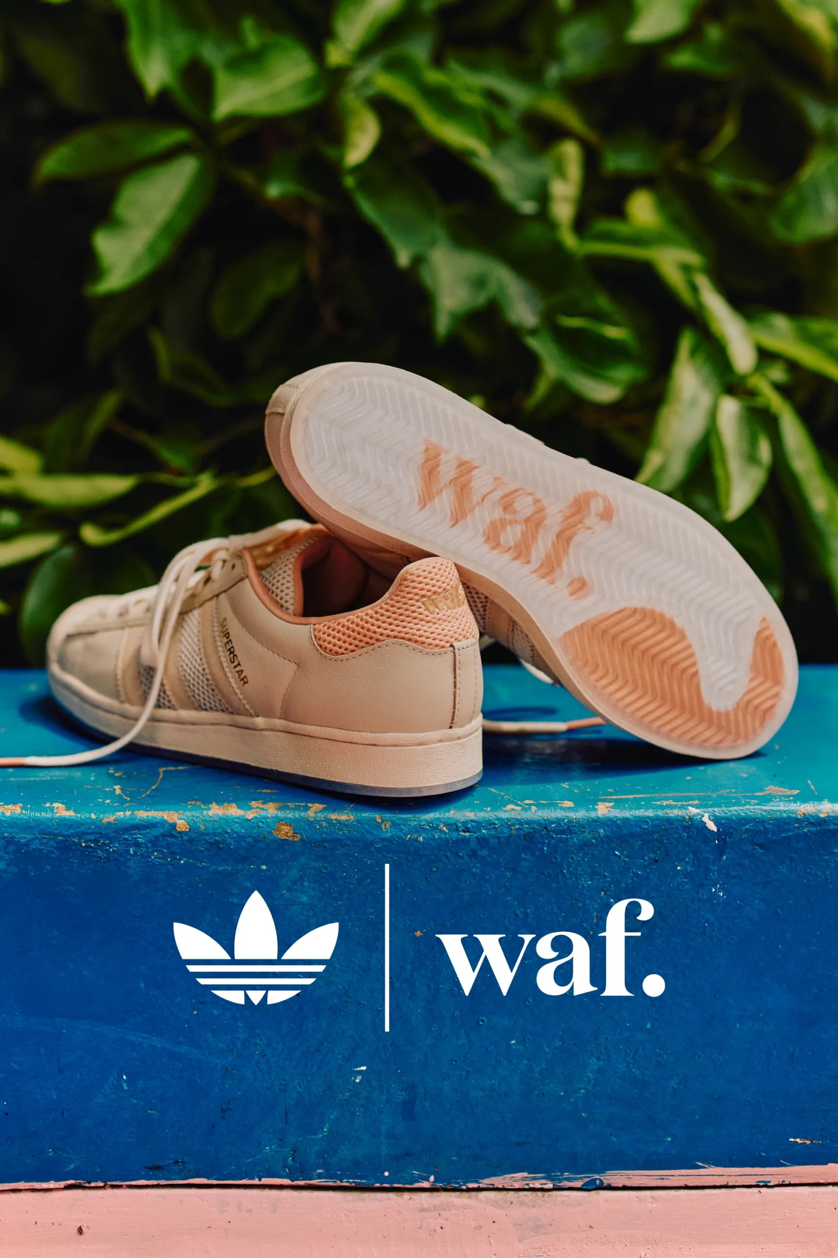 waf. x adidas Superstar ADV 