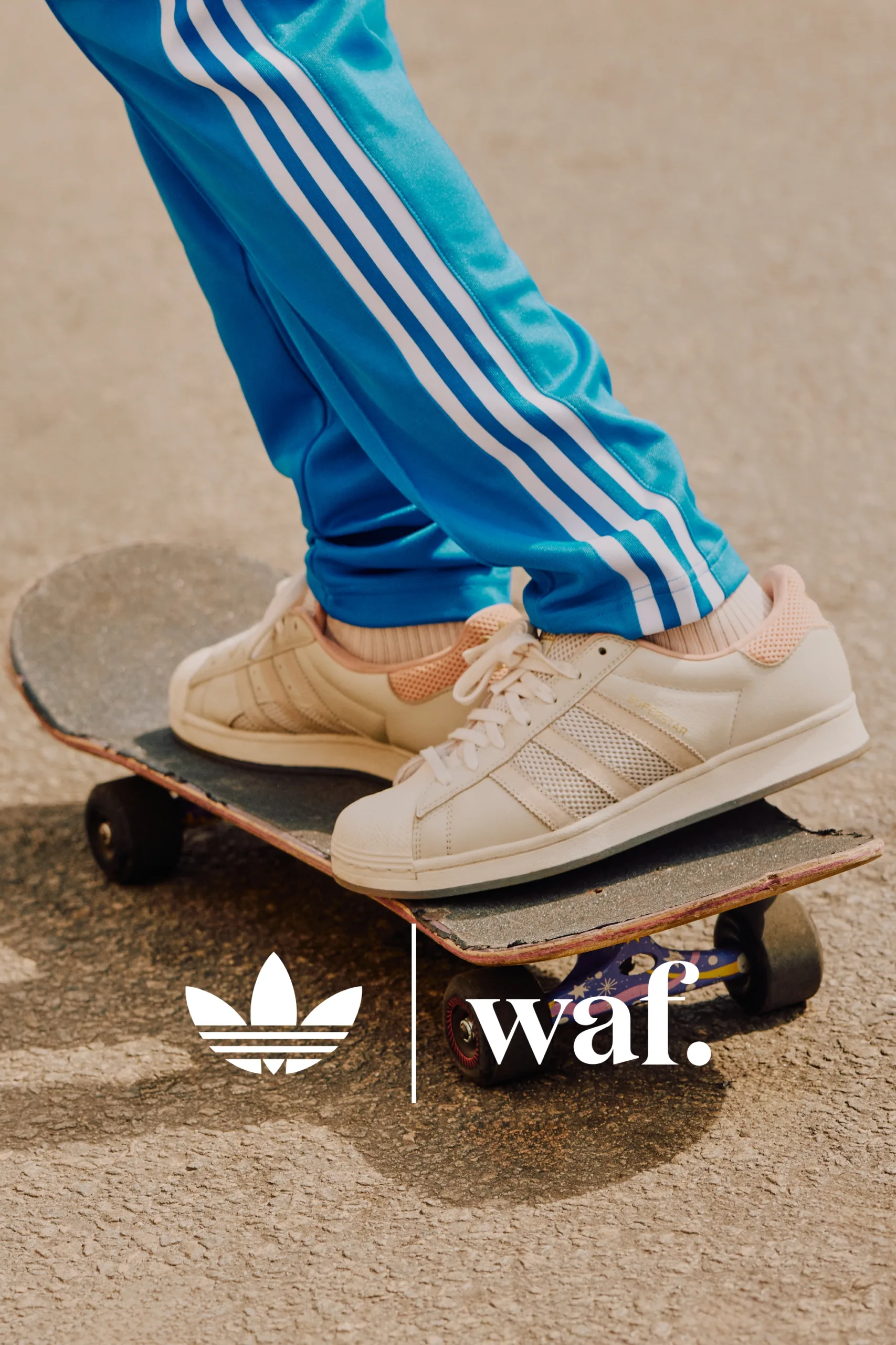 waf. x adidas Superstar ADV 