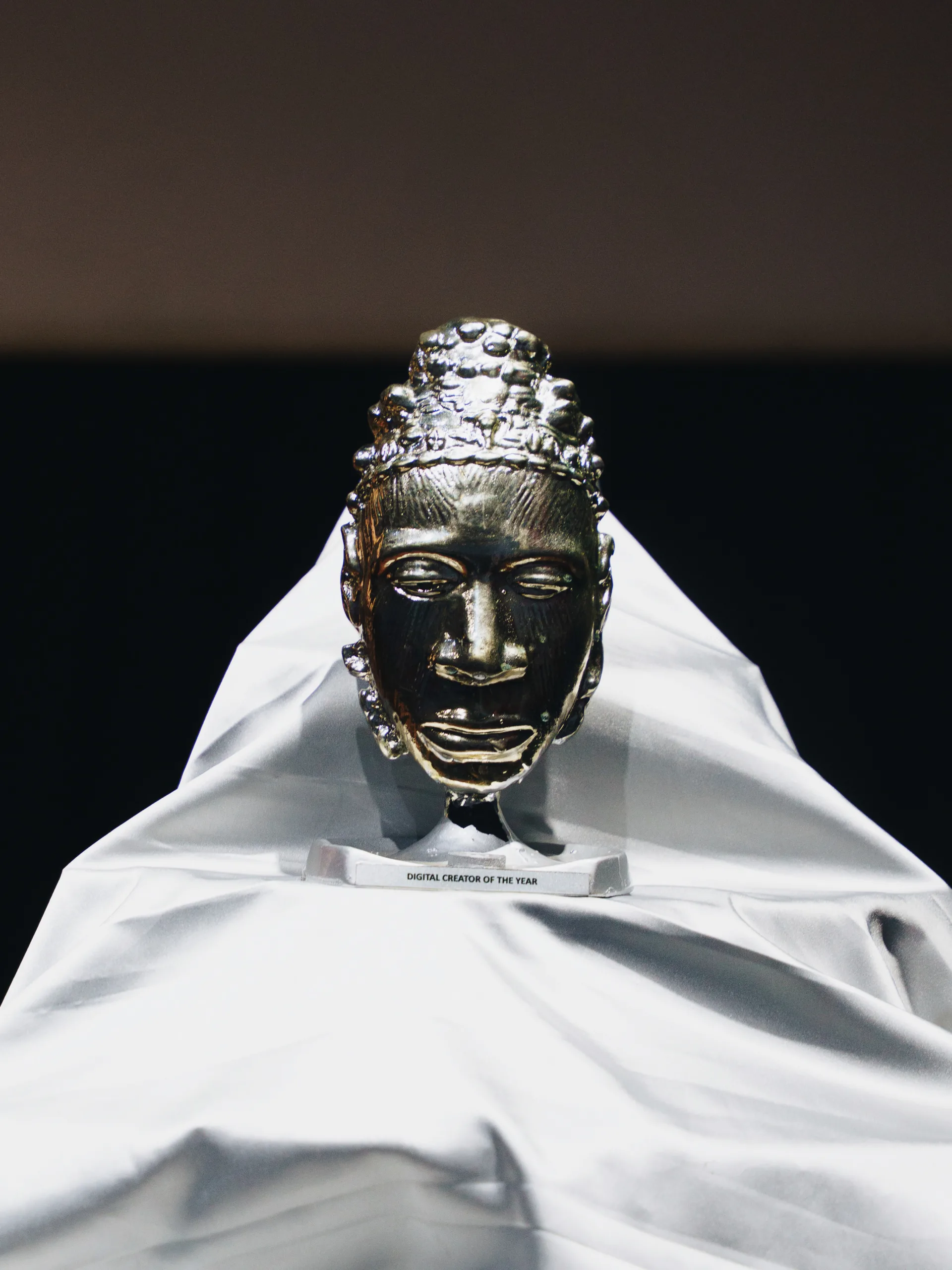 VVS Lagos Inaugural Luminary Award